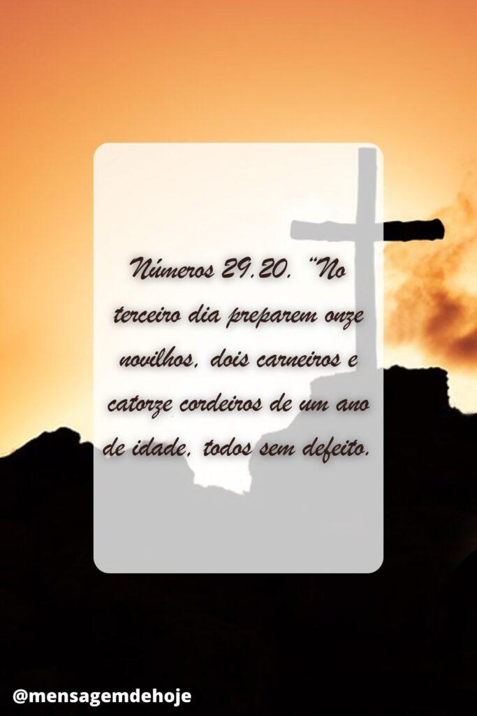 Salmos 29 de Junho de 2023 5