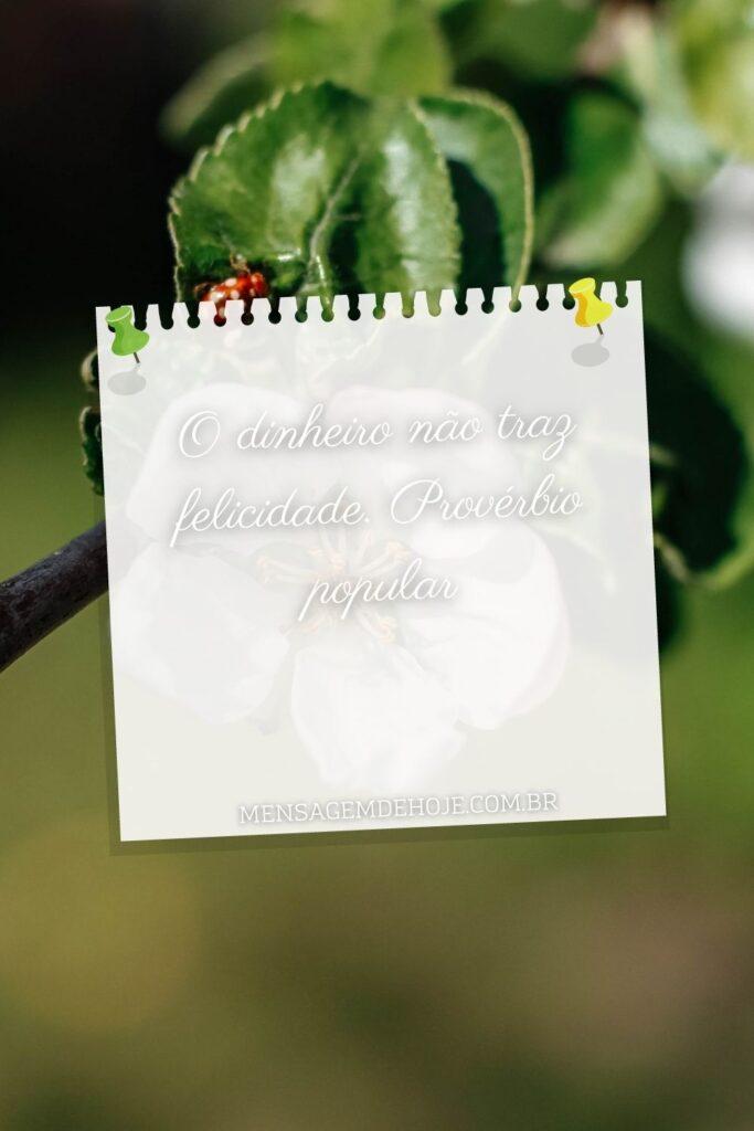 Pensamentos 13 de Junho de 2023 3