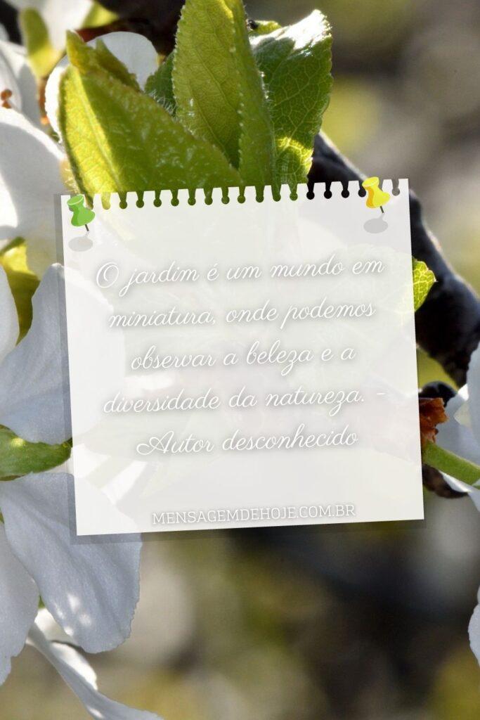 Pensamentos 13 de Junho de 2023 5