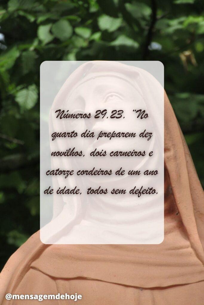 Salmos 29 de Junho de 2023 11