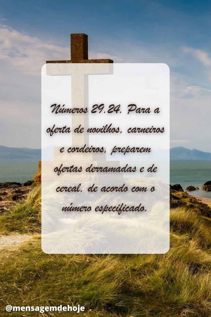 Salmos 29 de Junho de 2023 13