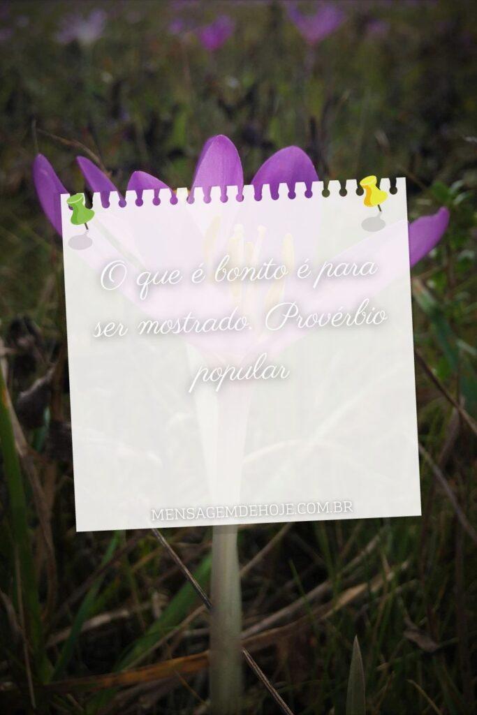 Pensamentos 13 de Junho de 2023 13