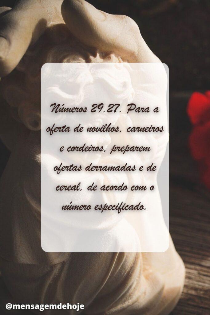 Salmos 29 de Junho de 2023 19