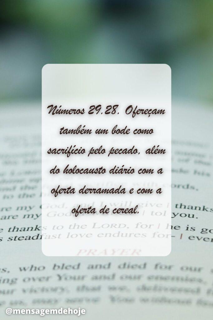 Salmos 29 de Junho de 2023 1