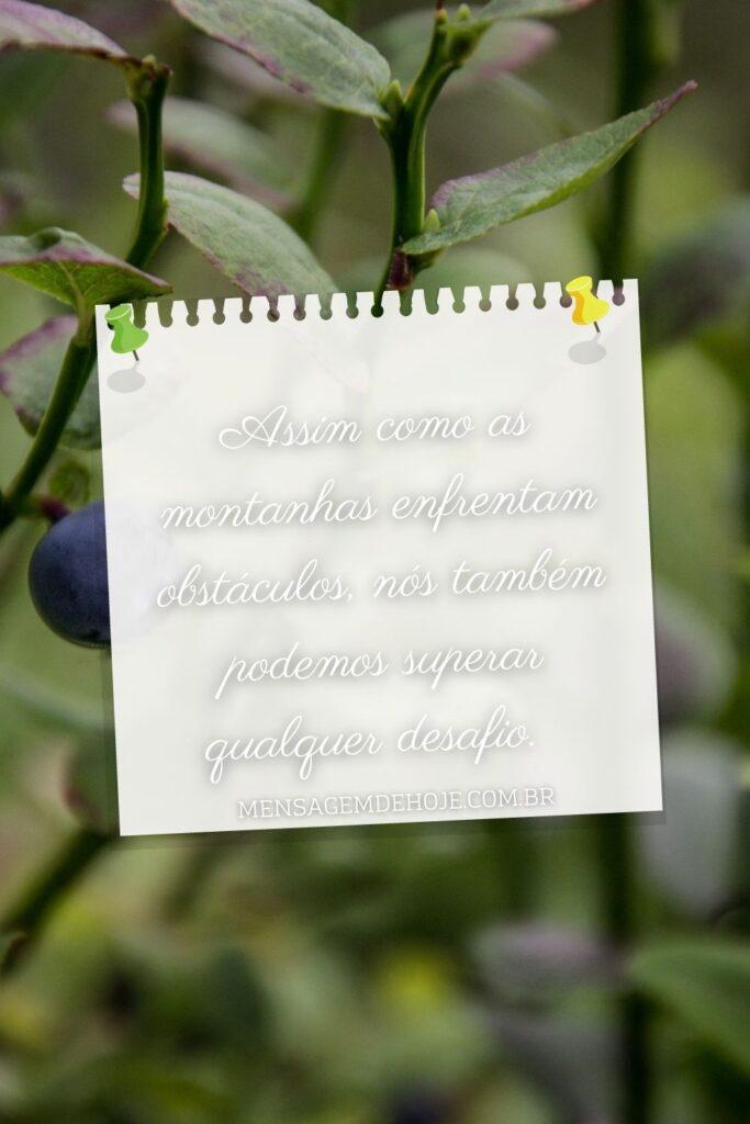 Pensamentos 22 de Junho de 2023 5