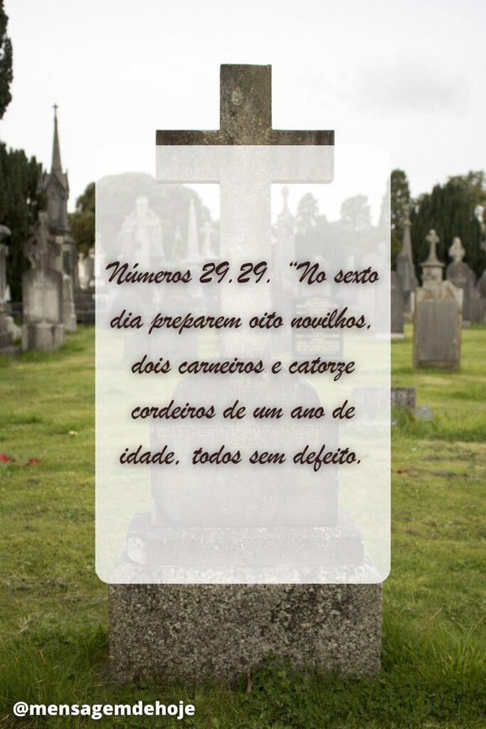 Salmos 29 de Junho de 2023 3