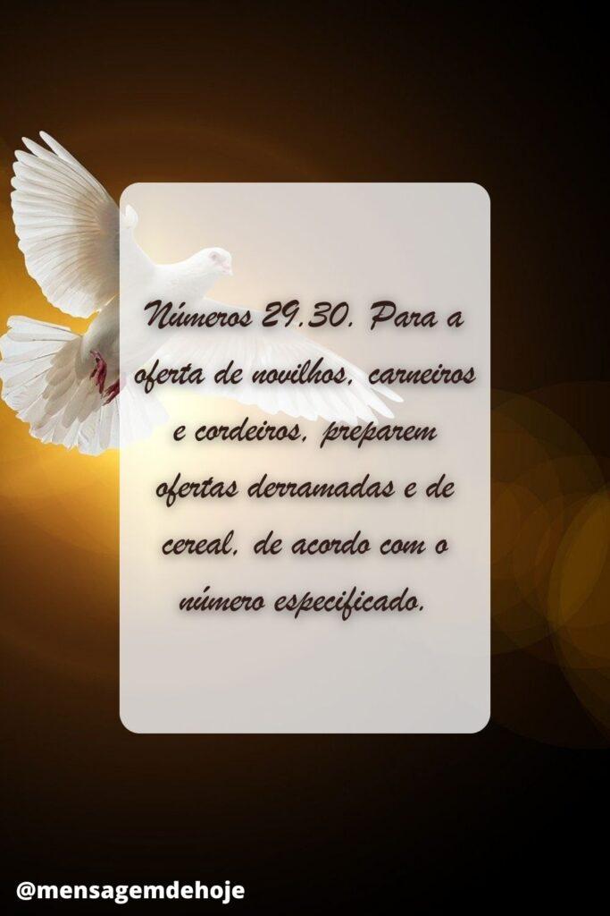Salmos 30 de Junho de 2023 5