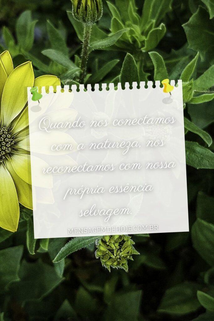 Pensamentos 12 de Junho de 2023 3