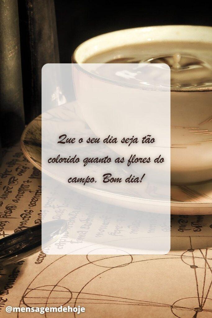 Bom Dia 20 de Junho de 2023 19