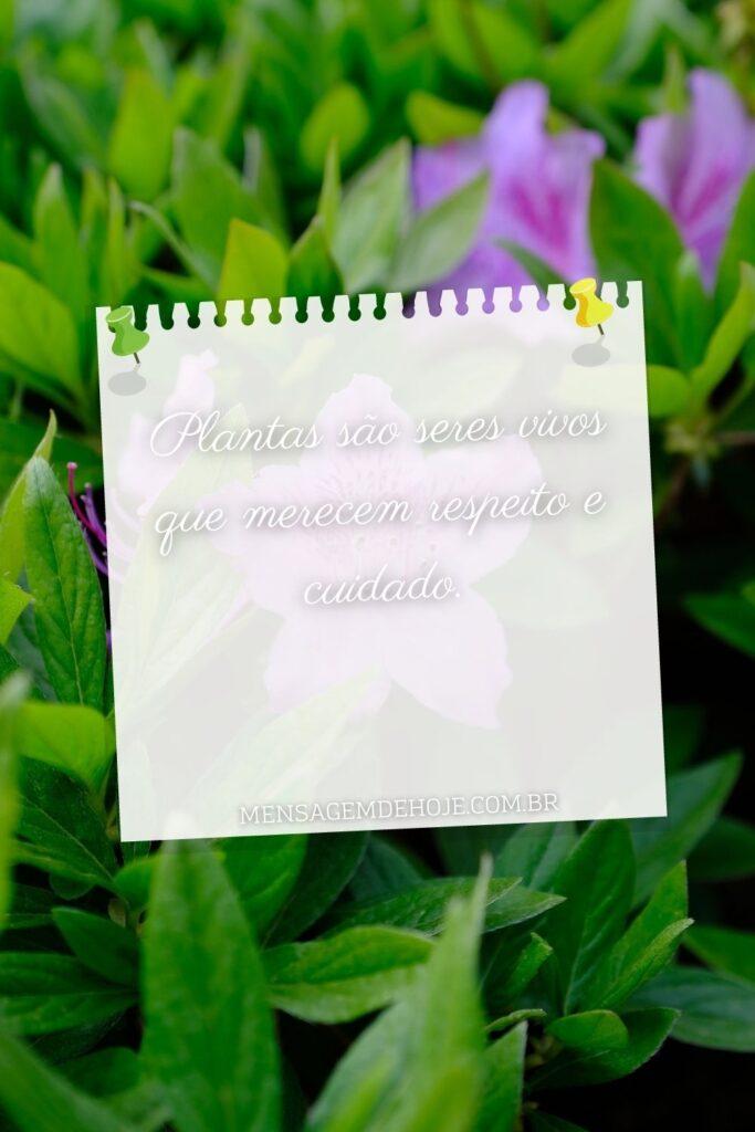 Pensamentos 12 de Junho de 2023 7