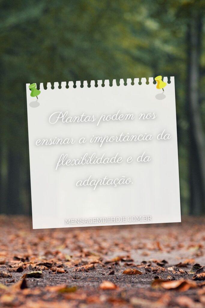 Pensamentos 22 de Junho de 2023 13