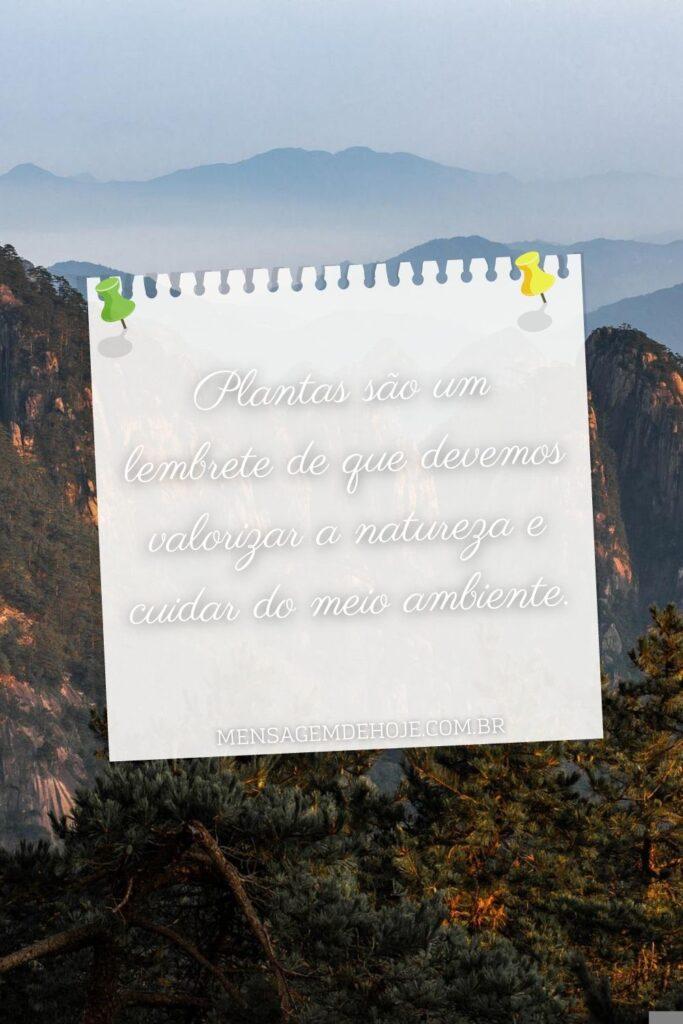 Pensamentos 08 de Junho de 2023 7