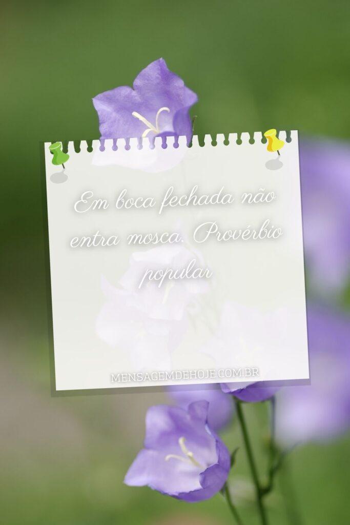 Pensamentos 08 de Junho de 2023 13