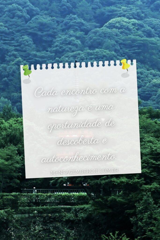 Pensamentos 08 de Junho de 2023 15