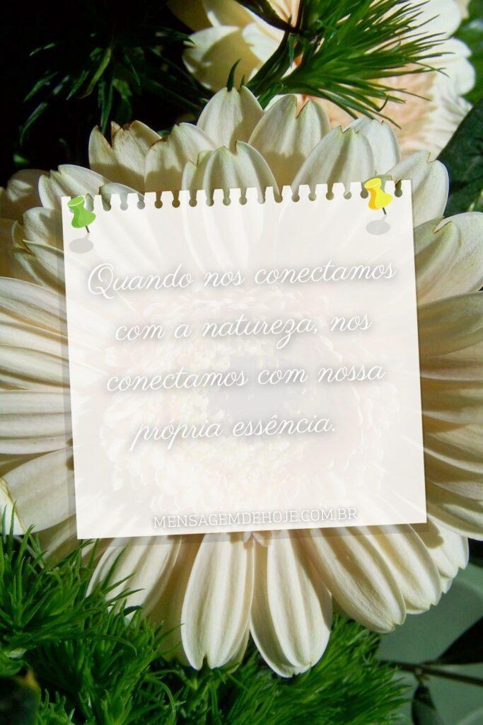 Pensamentos 08 de Junho de 2023 17