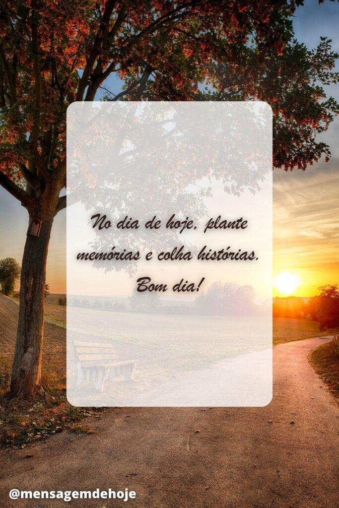Bom Dia 24 de Junho de 2023 15