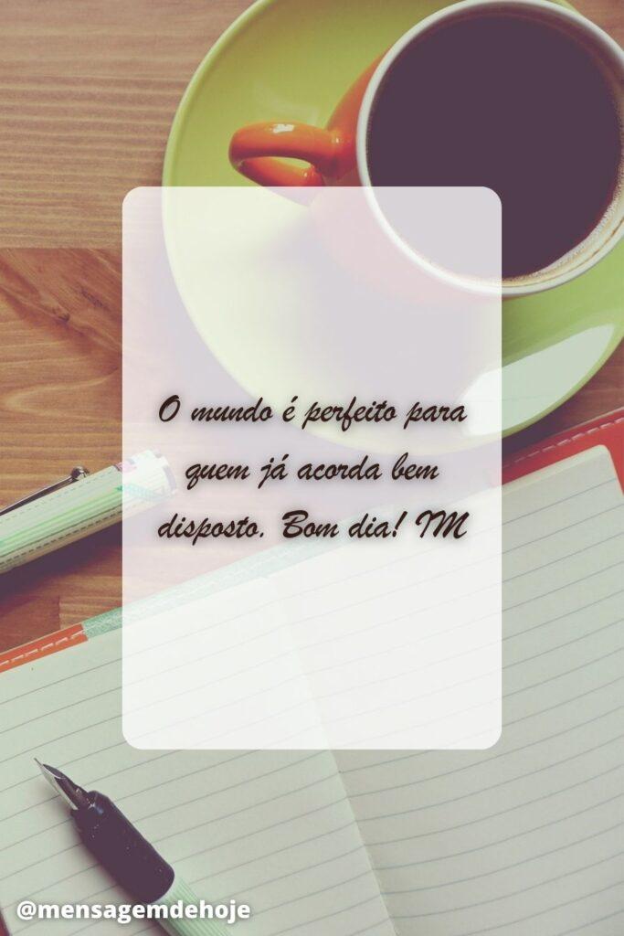 Bom Dia 24 de Junho de 2023 17