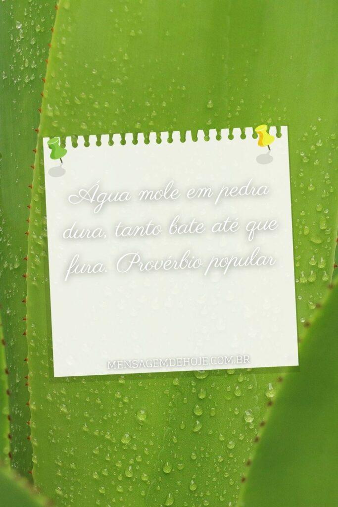 Pensamentos 22 de Junho de 2023 15