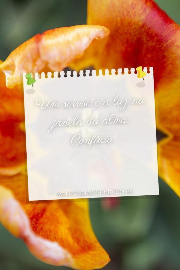 Pensamentos 07 de Junho de 2023 5