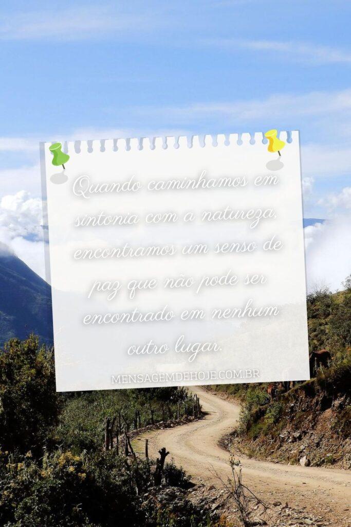 Pensamentos 22 de Junho de 2023 19