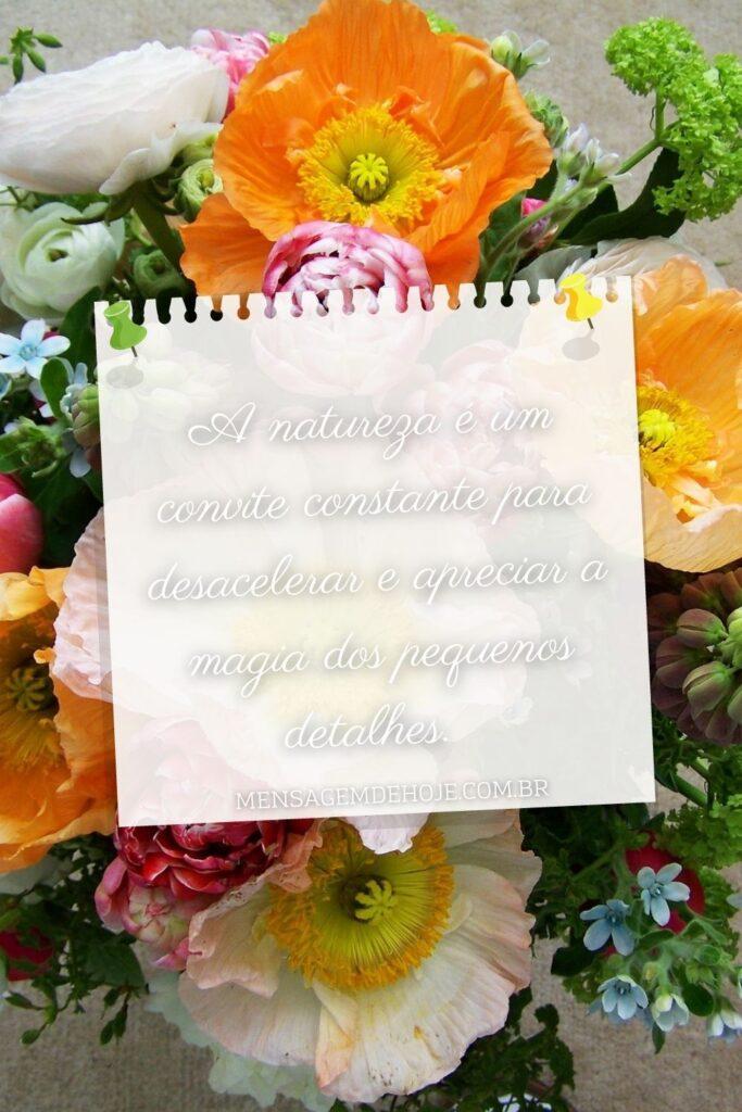 Pensamentos 05 de Junho de 2023 1