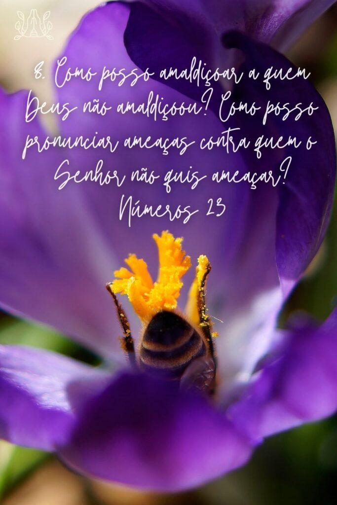 Salmos 08 de Junho de 2023 19