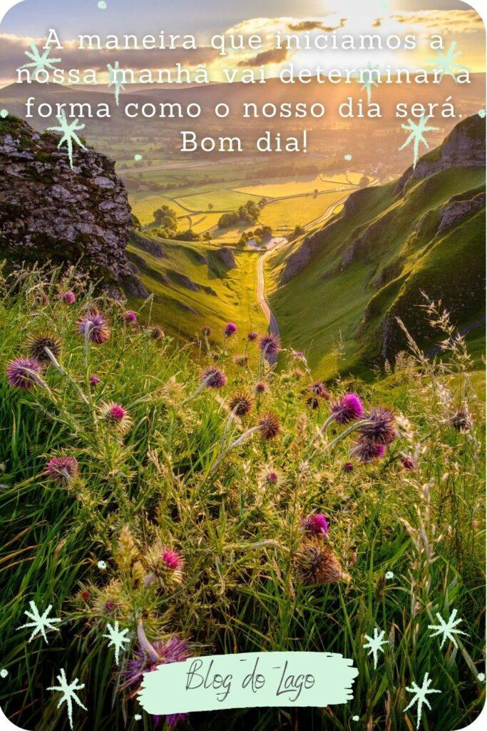 Bom Dia 01 de Maio de 2023 5