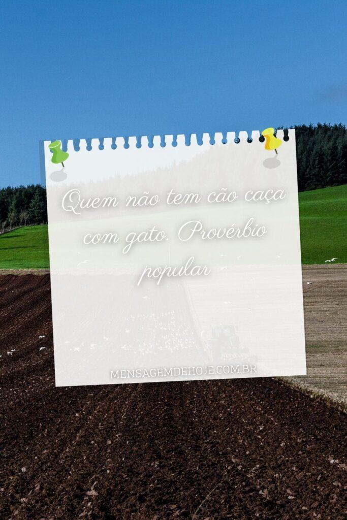 Pensamentos 01 de Junho de 2023 7