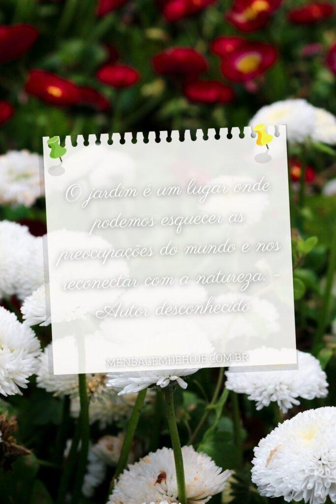 Pensamentos 01 de Junho de 2023 13