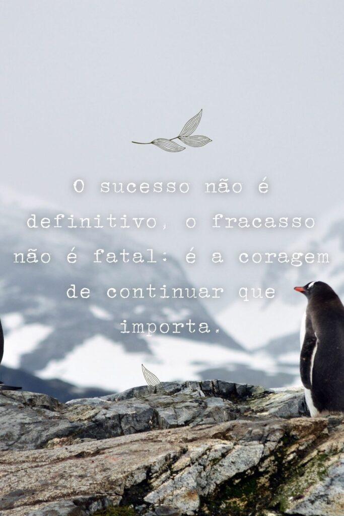 Pensamentos 01 de Maio de 2023 19