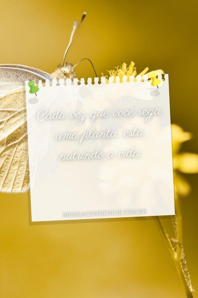 Pensamentos 01 de Junho de 2023 17