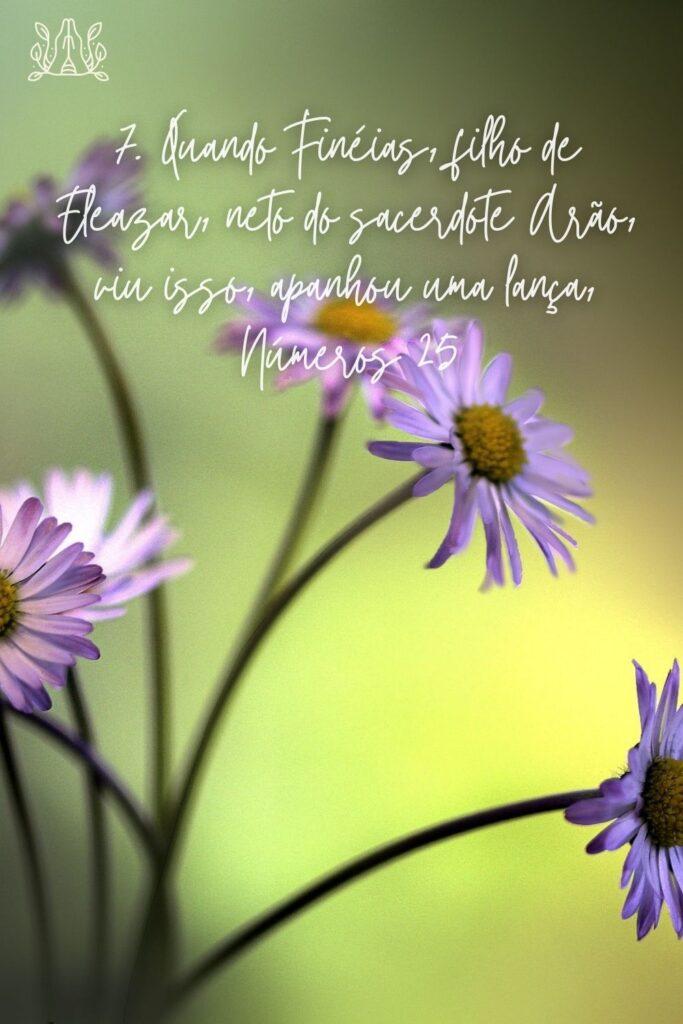 Salmos 14 de Junho de 2023 5