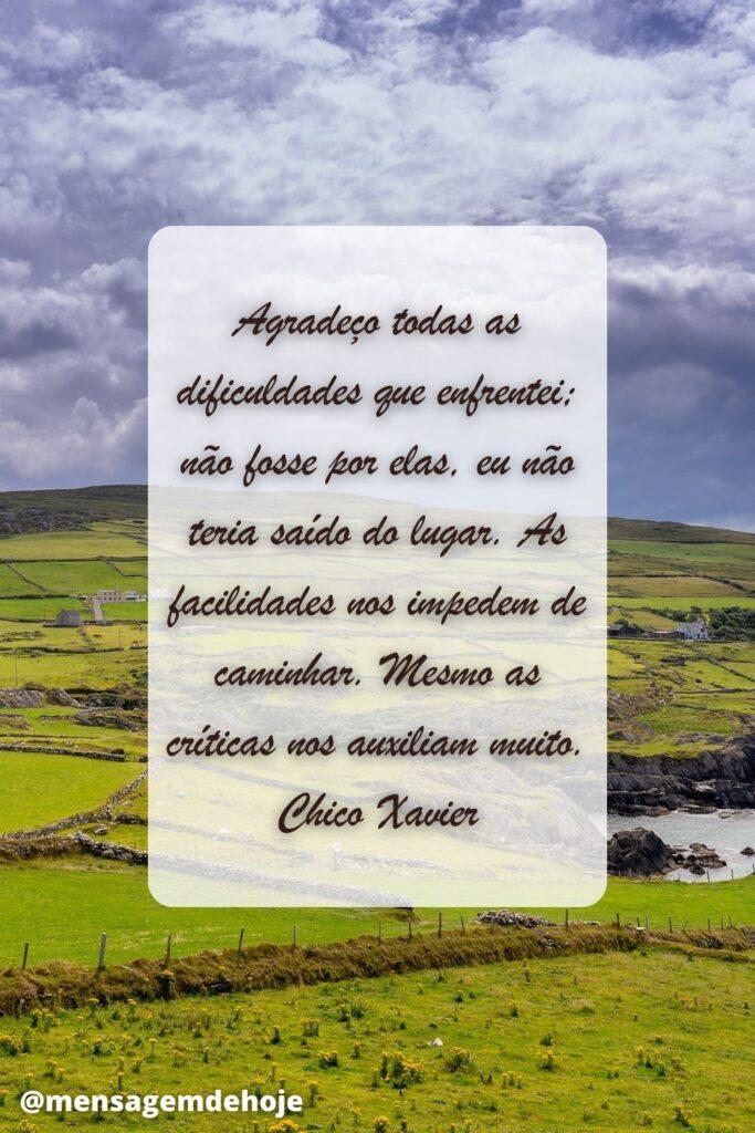 Pensamentos 28 de Junho de 2023 5