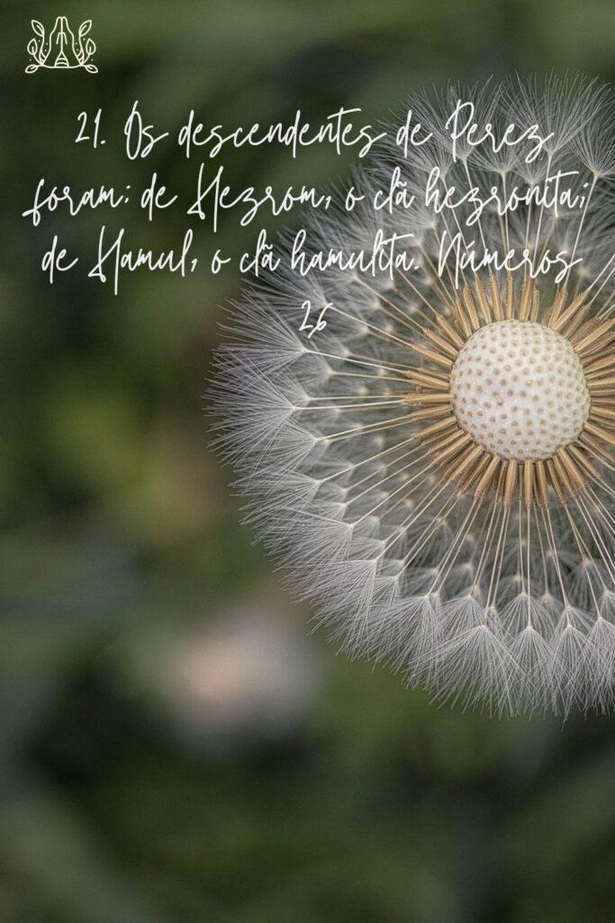 Salmos 17 de Junho de 2023 9
