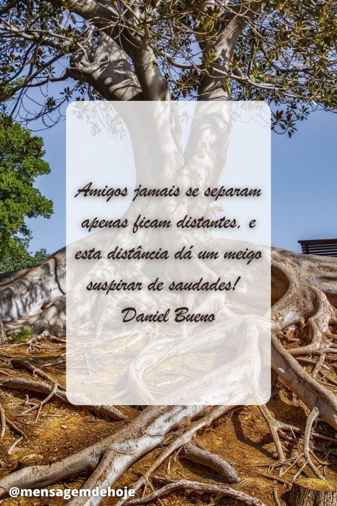 Pensamentos 24 de Junho de 2023 19