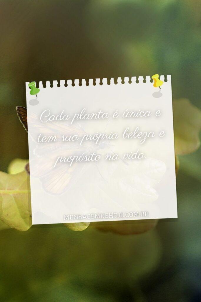 Pensamentos 19 de Junho de 2023 9