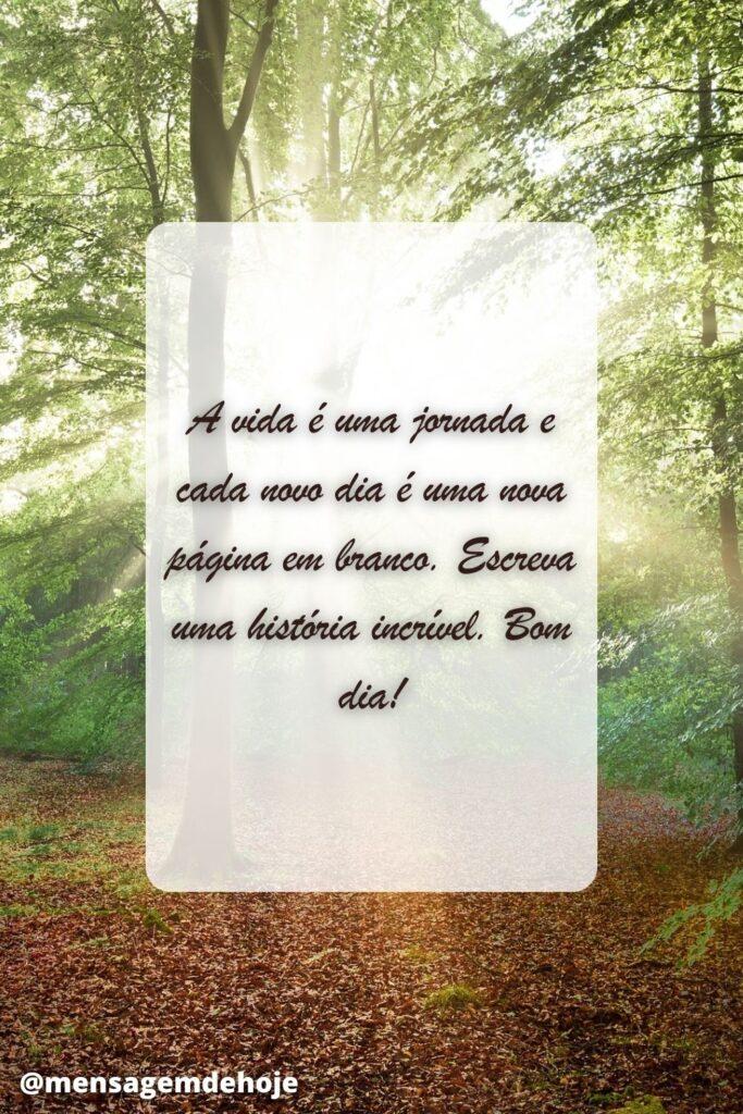 Bom Dia 13 de Junho de 2023 17