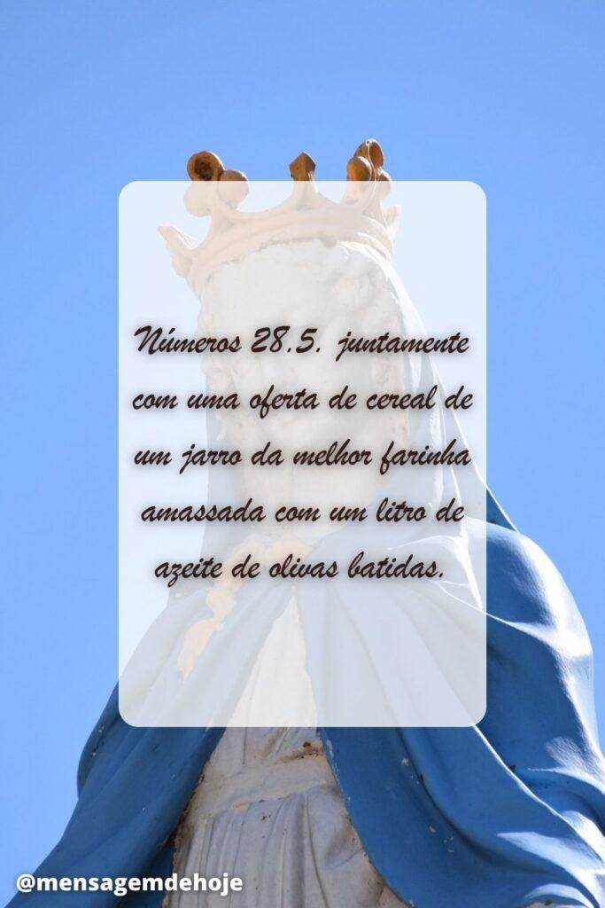 Salmos 24 de Junho de 2023 13