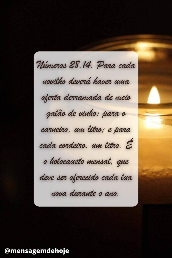 Salmos 25 de Junho de 2023 11