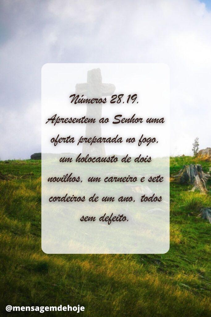 Salmos 25 de Junho de 2023 1