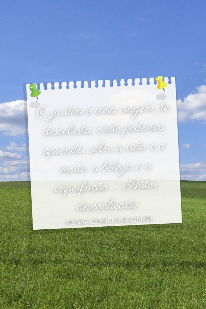 Pensamentos 23 de Junho de 2023 19