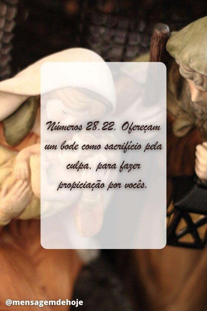 Salmos 26 de Junho de 2023 7
