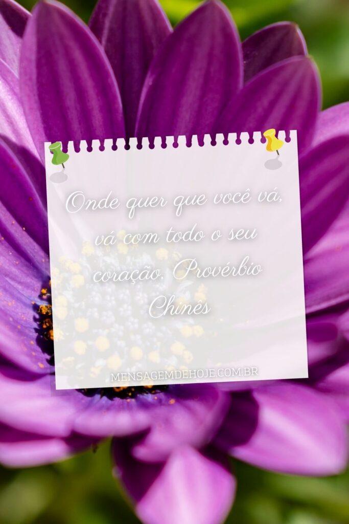 Pensamentos 16 de Junho de 2023 17