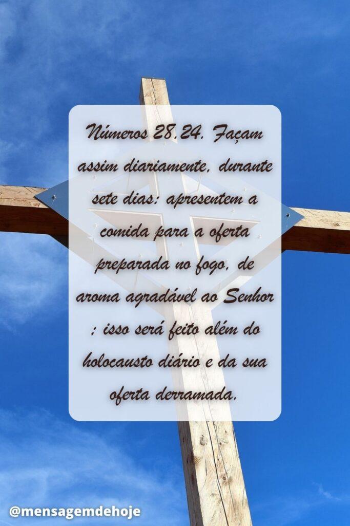 Salmos 26 de Junho de 2023 11