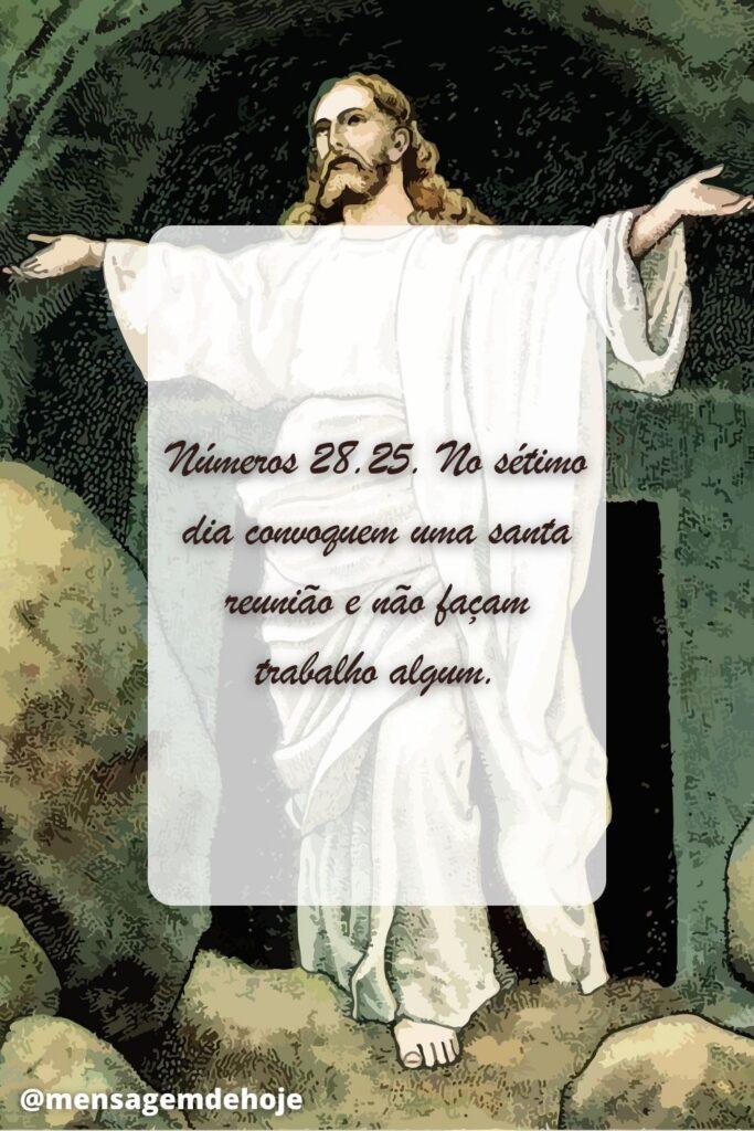Salmos 26 de Junho de 2023 13
