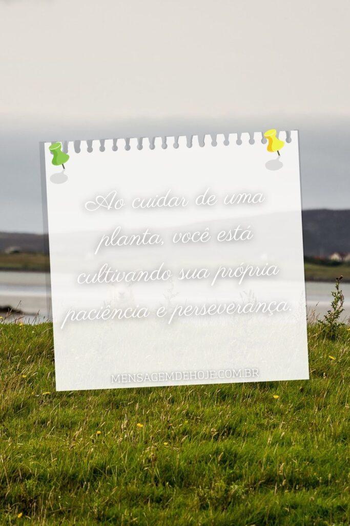 Pensamentos 16 de Junho de 2023 13
