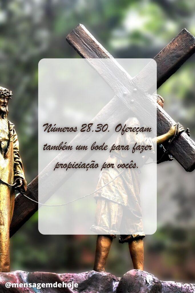 Salmos 26 de Junho de 2023 3