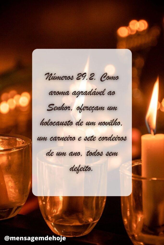 Salmos 27 de Junho de 2023 7