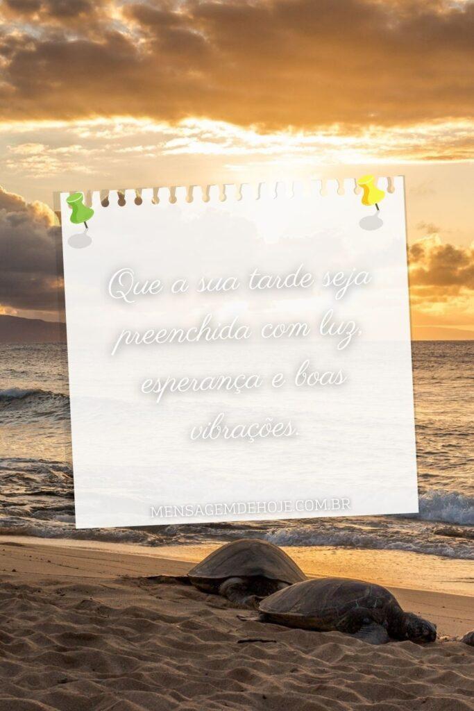 Boa Tarde 01 de Junho de 2023 7