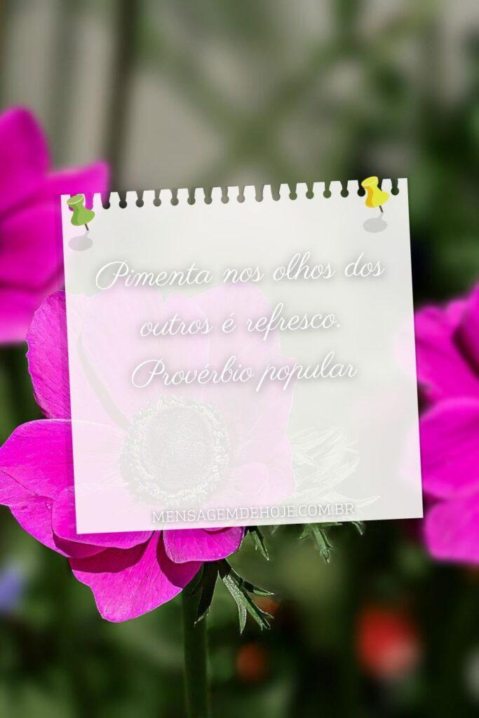 Pensamentos 15 de Junho de 2023 13